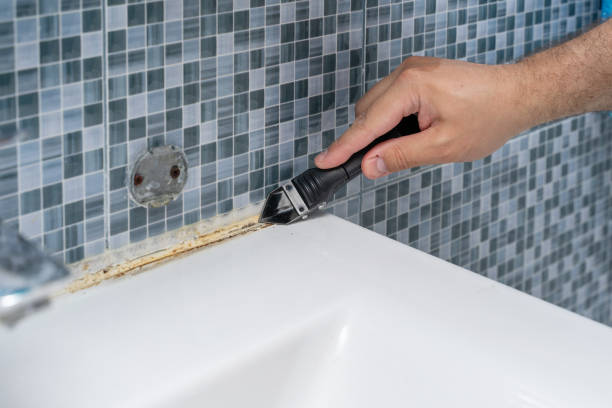 Best Residential Mold Removal  in Lenexa, KS