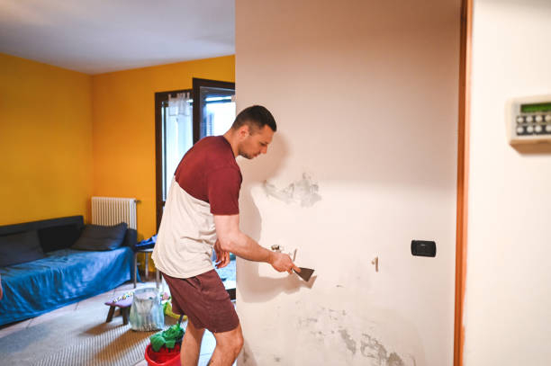 Best Black Mold Removal  in Lenexa, KS
